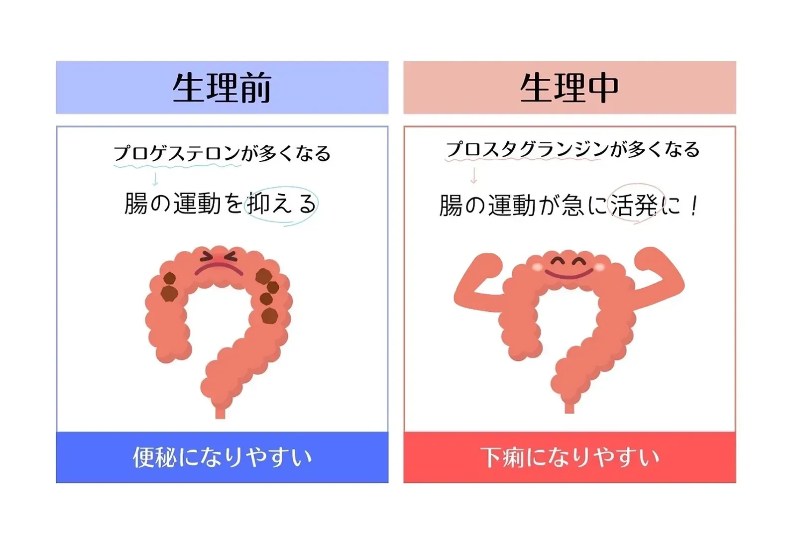生理 中 下痢