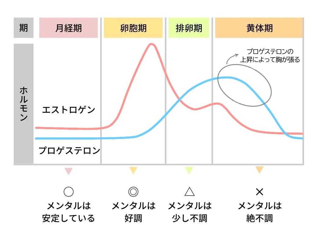 生理 前 胸 が 張る